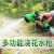 康丽雅 K-2334 四分清洁水管 物业园林绿化浇花灌溉水管 80米