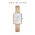 丹尼尔惠灵顿（DanielWellington）DW手表女 全新星辰贝母女士手表 时尚小方表520礼物DW00100578