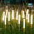 景观灯芦苇灯D灯防水室外草地灯花园 灯具光源为 12V低压