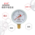 红旗牌仪表YY-60乙炔压力表氩气压力表氮气压力表氢气压力表 0~4MPa