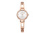 宝时捷（POSCER）手表 时尚镶钻石英防水女表女士手链表50060L.RRW