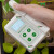 叶绿素检测仪测定仪植物营养测量计手持式叶面无损氮含量测量仪器 配件