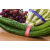 蔬菜捆扎带超市捆绑带扎菜带绿色紫蓝红色生鲜印字胶带定做 带字新鲜绿1.2*100米