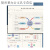 思维导图笔记本子a4大号加厚简约大学生法考考研专用康奈尔网格本方格阅读笔记手绘B5记事本空白横向线圈 (活页)侧翻款：A4思维导图【白】无品