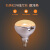 雷士照明（NVC） 集成吊顶浴霸灯泡 嵌入式卫生间浴室灯275W 灯暖替换取暖灯泡 款式B