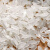 金龙鱼 东北五常大米粳米 稻花香米家用蒸饭煮粥香软弹滑 御品稻花香 5KG