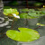 圣雅祺庭院花园流水鱼池室外露台循环水摆件大型鱼缸造景喷泉水池 青石色-2220