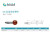 M2-红宝石球测针 不锈钢/海克斯康 海克斯康三坐标测针 03969206-D6*L10