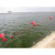 海洋航道大浮标球河道湖泊浮球浮漂安全警示标志水位渔网塑料浮球憬芊 黑色 新φ30cm串心白 其他