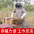 养蜂防护服装蜜蜂工具防蜂衣专用连体防蛰透气全套加厚防护帽手套 橡胶手套+连体蜂服XXL码 （60kg
