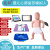 适用于婴儿儿童心肺复苏模拟人婴儿梗塞气道梗塞急救及CPR训练模 婴儿(10.4英寸安卓版平板电
