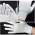 防手套碳纤维PU涂指手套薄涂掌浸胶防滑耐磨电子组装作业手套 10双/碳纤维手套芯（无涂胶） S