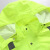 禹顺01反光雨衣交通警示成人分体反光衣摩托车骑行加厚荧光黄防水服 荧光绿上衣+黑裤 S-160 