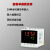 RuiXi 智能单路数显仪表 温度电压液位E100+通讯+1变送+2报警+1馈电 尺寸：C型 24V供电电源