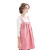 添香防辐射服孕妇装备孕大码衣服透气电脑服蝴蝶背带裙外穿吊带款 粉色 XL