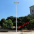 新农村户外防水路灯杆足球篮球场照明灯杆5米6米7米8米道路高杆灯 战狼款200w两头(不含杆)