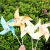 儿童自制风车diy手工材料包幼儿园创意制作画画涂鸦小风车儿童组装折纸玩具装饰 C.户外防水款（2个装）