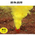 橙央 应急消防演练演习用户外彩色发烟雾罐道具专用品公司安全灭 黑色发烟罐 持续时间3分钟左右