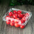 一次性水果盒 超市一次性水果包装盒透明塑料盒水果500M水果店一 1813H4透明-整箱1800个