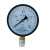 联塑（LESSO）末端试水装置压力表 ZSPM-Y100