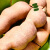 航旅云南特产酸角干货大王酸零食休闲食品甜角水果干果 甜角360g*2袋