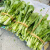 爵妃 贵州白菜苔农家露天自种新鲜蔬菜菜心火锅菜现摘发货 1500g中通