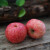 广兴果园广兴果园烟台红富士苹果山东特产新鲜水果礼盒礼品福利 80mm12颗