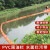 围油栏轻型PVC桔红色WGV450固体浮子式拦污带水面防扩散拦油河道 桔红色PVC400