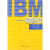 银湖计划――IBM的转型与创新