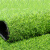 谋福 124 草坪垫子工程围挡假草绿色人造人工草皮户外仿真装饰地毯塑料绿植30mm春草定做(特厚特密)2米*2米