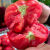 普罗旺斯番茄种子西红柿种籽大番茄苗口感好甜度高沙瓤产量高 青口蜜小绿番茄苗 10棵