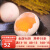 上新晋龙 新鲜鸡蛋枚红心蛋非农家散养鸡蛋 可生食30枚