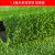 久聚和仿真草坪户外铺垫足球场幼儿园人工假草坪塑料铺垫草皮阳台人造草 1.5cm普通工款2米宽*2.5米长/ 5平方