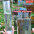 科睿才雨量筒塑料雨量器小学生科学地理仪器雨量计不锈钢雨量筒自制雨量杯 直读式雨量杯 7001