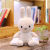 胖进Miffy米菲兔子抱枕毛绒玩具公仔米菲兔子公仔宝宝安抚玩偶布娃娃 白色 25cm