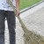 普利赛拉 户外环卫大扫把庭院街道竹扫把物业清洁扫帚 竹枝连体大号3.5斤