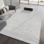现代简约地毯客厅轻奢沙发茶几毯北欧风灰色卧室地  250*300cm(整 迷雾-4A