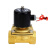 沸耐笙 LT-0010 2W铜电磁阀常闭水阀 多规格 2W-025-06 DN06 AC220V 一个