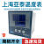 上海亚泰NE-6411V-2仪表温控器NE6000-2温控仪NE-5411数显温度表 NE-6411-2D(N) K 400度