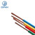 起帆（QIFAN） 电线电缆BVR1.5平方单芯多股铜芯软线 100米长 单位：卷	红色