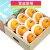 【顺丰直达】礼盒装雷波脐橙甜橙橙子大果脐橙新鲜水果送礼应季 礼盒装 7斤 -
