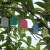 安赛瑞 PVC植物吊牌 彩色防水标签吊签牌 花卉园艺塑料小挂牌 长4.5宽3cm1000张黄色 530327