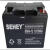 驭舵SEHEY蓄电池NP/NPG/SH-12V7AH17AH24AH38AH40AH65AH100A 12V12AH