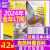 博物杂志2023年1-10/11/12月/2024年送4本全年/半年订阅 中国国家地理青少年版博物君科普百科过期刊 B【全年订阅送6个笔记本】2024年