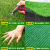 仿真草坪地毯人工假草皮户外铺垫人造塑料草绿色围挡足球场幼儿园 2.5厘米加密款2米宽x7米长