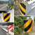 护栏端头反光膜40路边黄黑斜纹反光贴高速道路交通立柱警示反光标 15cm级白色3米长