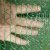 铭层 覆盖绿网 建筑工地防尘网 绿色盖土网 6针7米*30米 一卷价