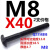 汐茨 45#钢T型螺丝冲床铣床螺栓杆t形模具压板螺丝M8-M36等定制 M8X40【T型】2支价格 