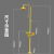 补天 304不锈钢紧急喷淋洗眼器 验厂abs复合式洗眼器 BTF11-A