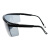 梅思安（MSA）杰纳斯防护眼镜 防刮防雾防风墨镜 轻巧耐用 10108429
